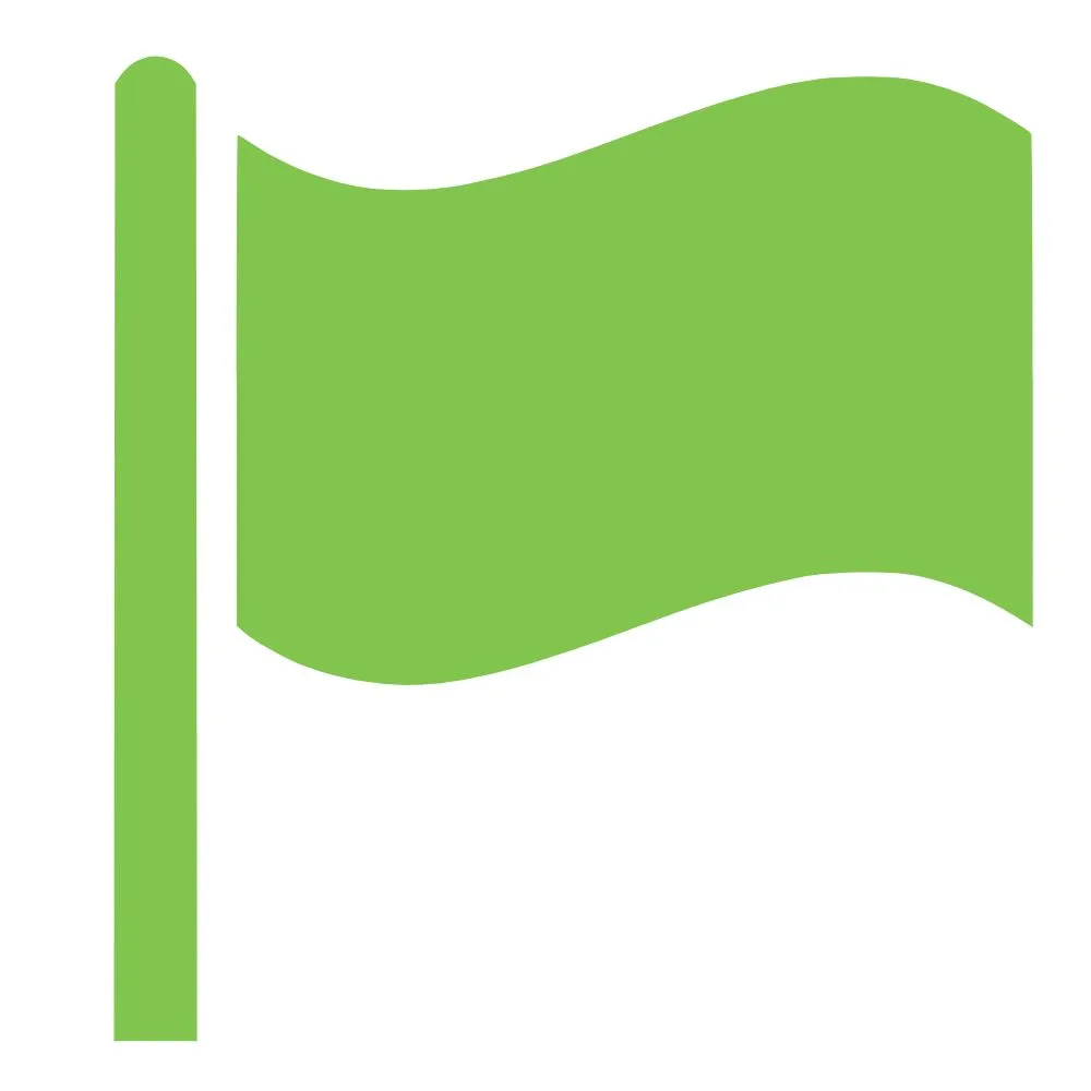 Icon of a green flag