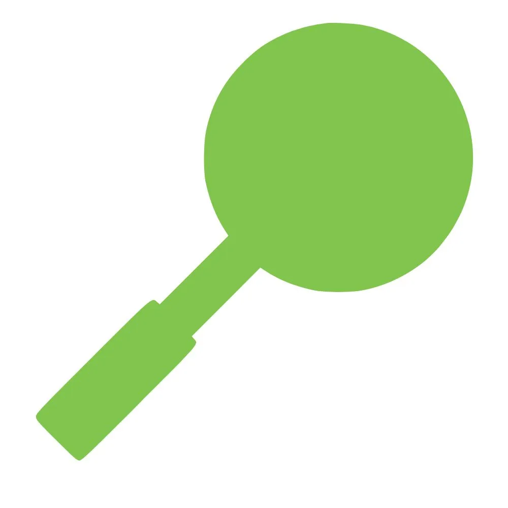 Icon of a green magnifying glass